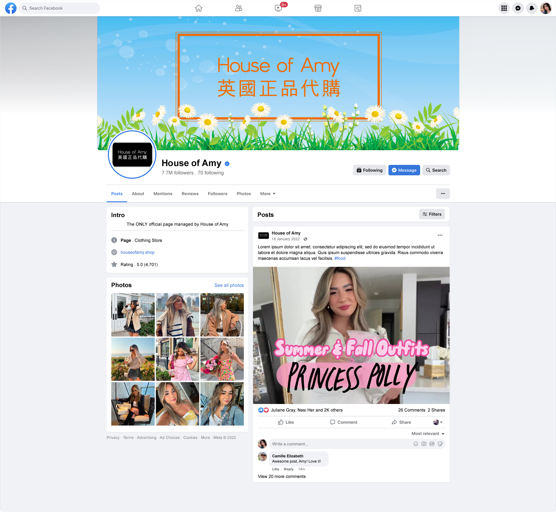 Mockup of the Facebook page for House of Amy (Content copyright to Amy Ngyuen, Instagram)